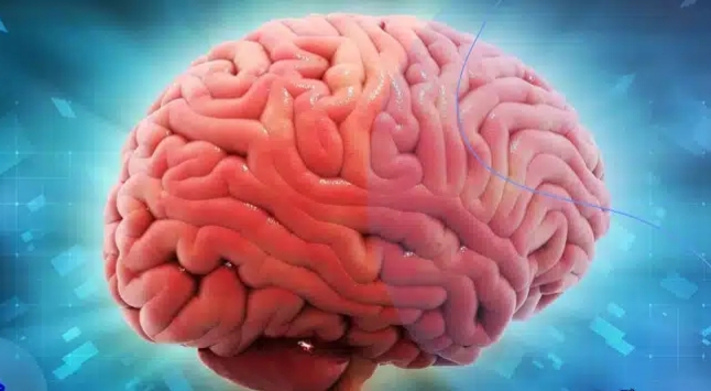 راهکار ساده جلوگیری از کوچک شدن مغز