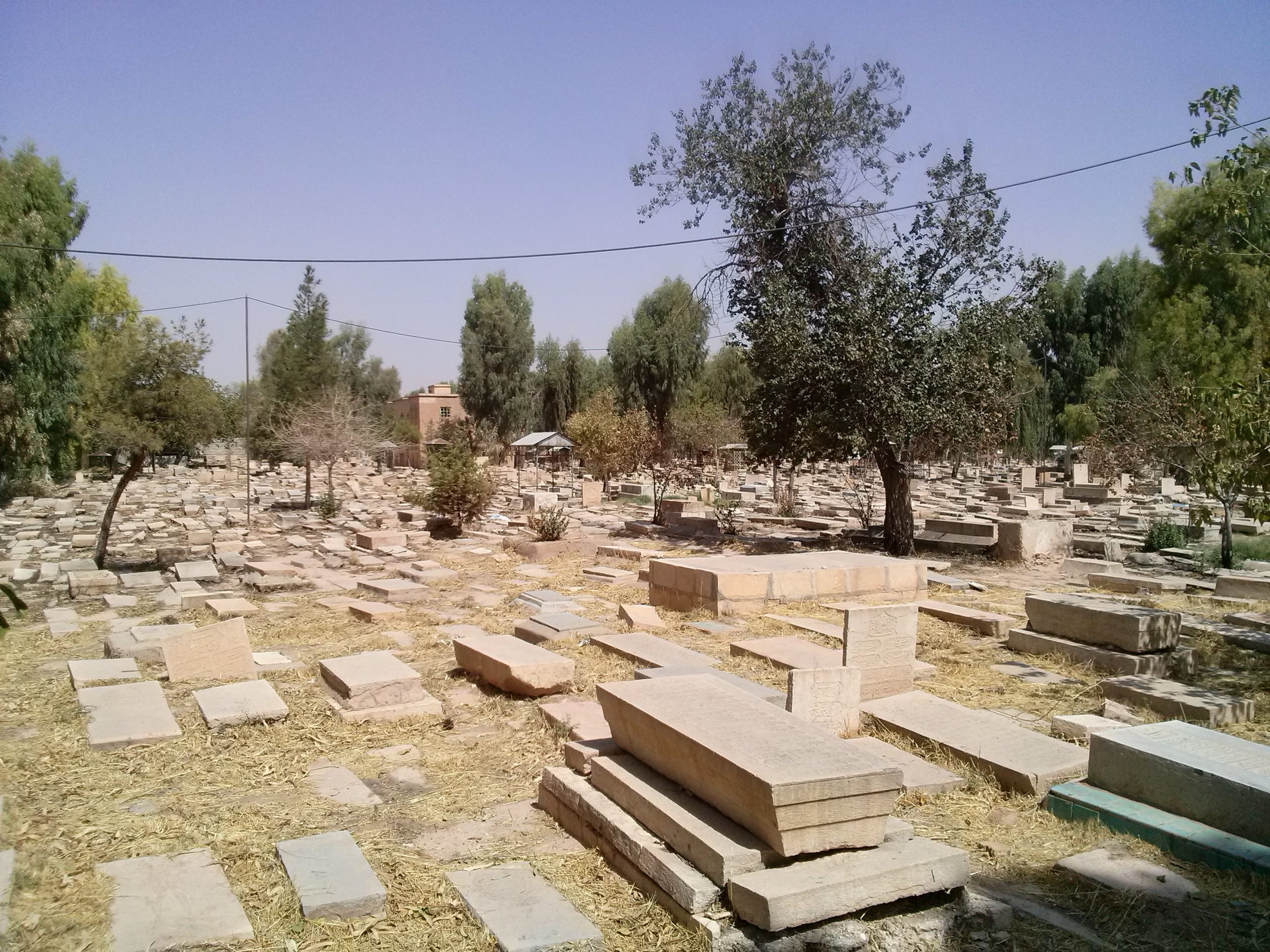مزارستان دارالسلام شیراز نه آرام و قرار دارد، نه سر و سامان!