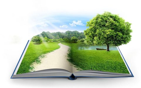 محیط زیست؛ چالش‌ها و راهکارها