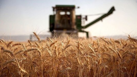 ۲۸.۵ همت بابت خرید تضمینی گندم به حساب کشاورزان واریز شد