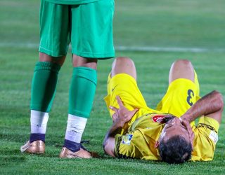 فجر؛ گربه‌ی ملوس خانگی و شیر زخمی بیرون از خانه