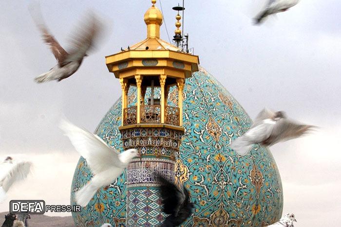 هاجری: همبستگی اجتماعی سرمایه مهم توسعه شهر است