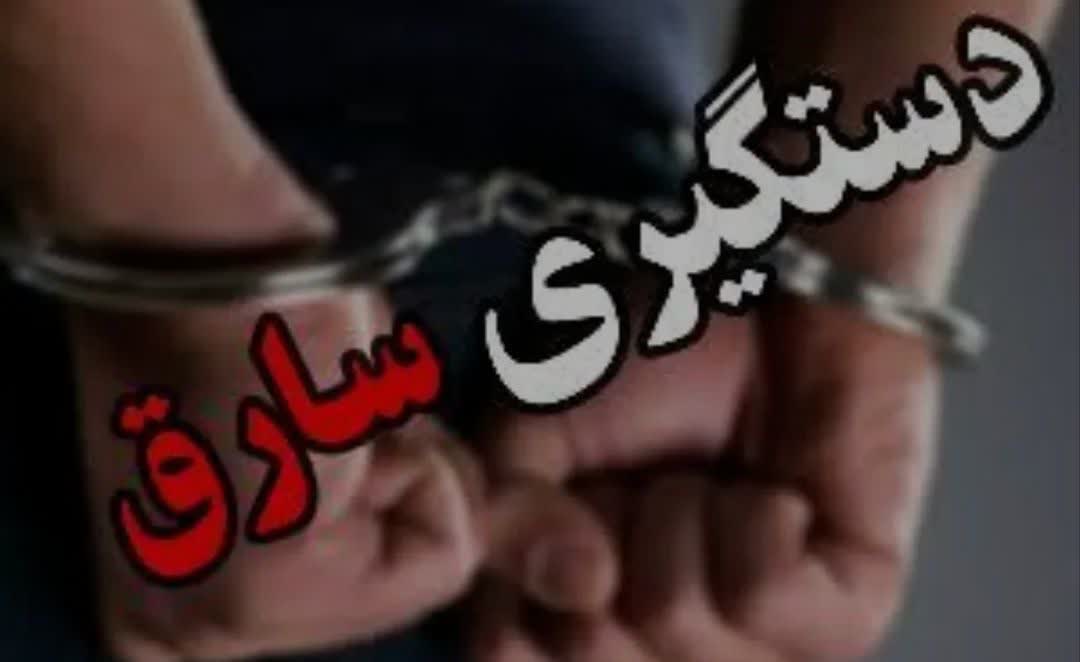 دستگیری سارق با ۶ فقره سرقت در سپیدان