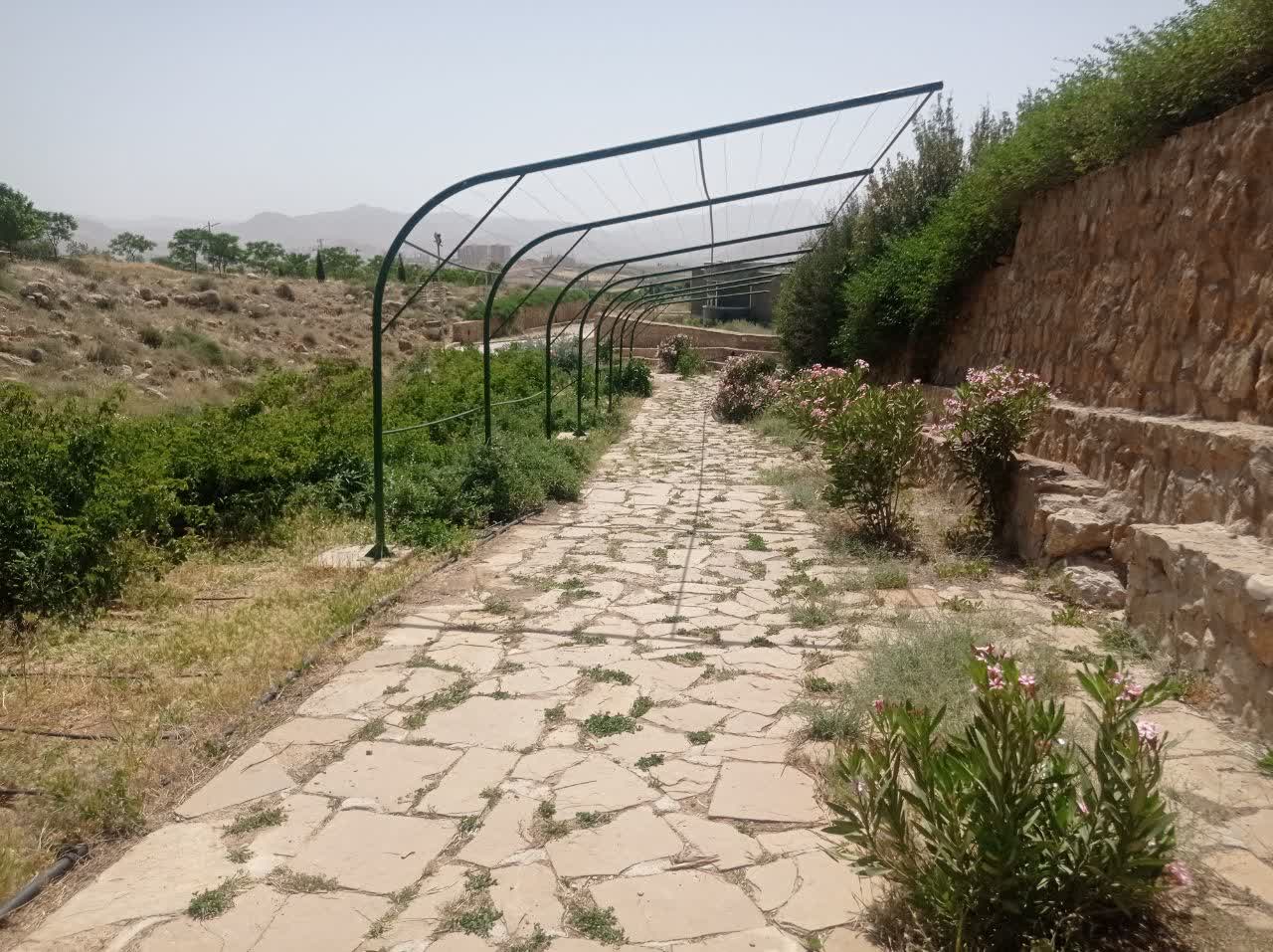 بازدید علمی دانشجویان داروسازی دانشگاه شیراز از سایت گیاهان دارویی بوستان کوهستانی دراک