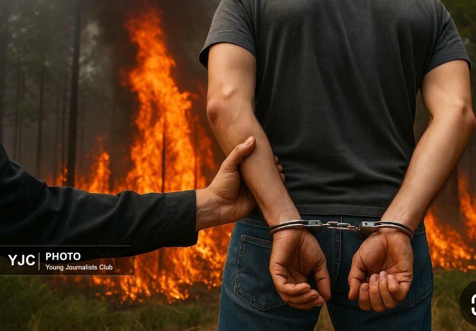 بازداشت دو عامل آتش‌سوزی جنگل‌های بلوط در کازرون و شیراز