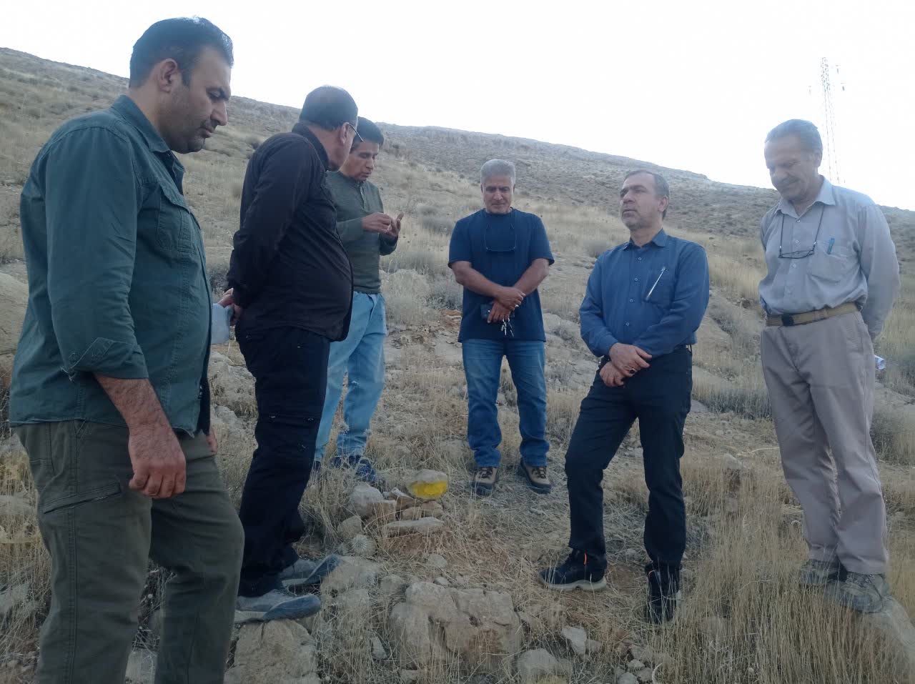 بازدید معاون دادگستری فارس از ارتفاعات شیراز با محوریت صیانت از عرصه‌های طبیعی