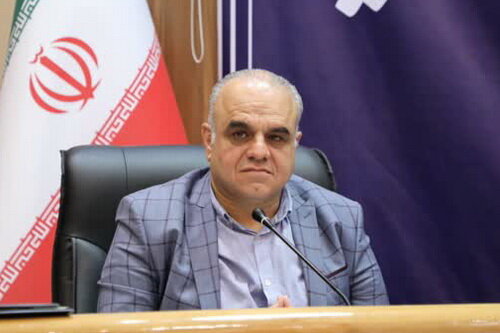 مدل صادراتی فارس باید از خام‌فروشی به سوی تکمیل زنجیره‌های ارزش تغییر جهت دهد