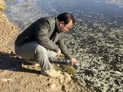 داغستان  نفرین شده ماهی ها در فارس  