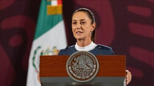مکزیک درباره حضوراحتمالی اعضای کارتل‌های مواد مخدردرجنگ اوکراین تحقیق می‌کند