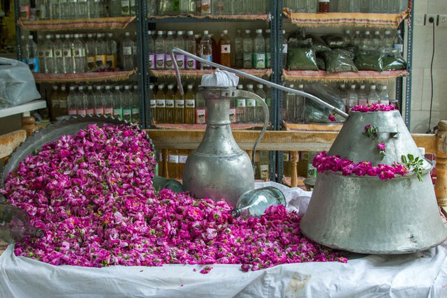 ایران در رتبه نخست تولید غنچه گل محمدی و گلاب در دنیا
