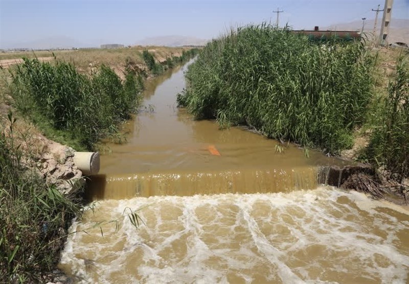 هشدار جدی برای آبیاری زمین‌های کشاورزی جنوب شرقی شیراز با فاضلاب
