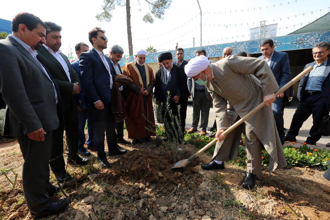 آغاز هفته درختکاری با کاشت نهال وحدت در فارس