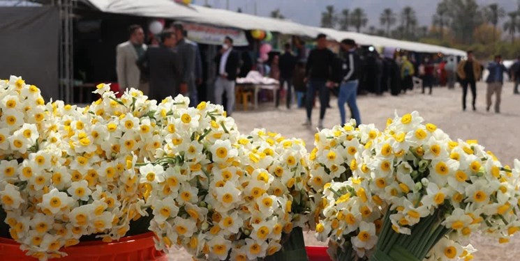 ثبت رویداد جشنواره گل نرگس خفر در هفته دولت