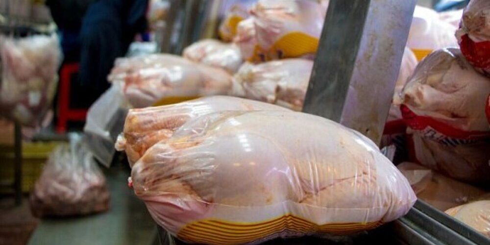 تشکیل ١١٩ پرونده تخلف عرضه مرغ در شیراز