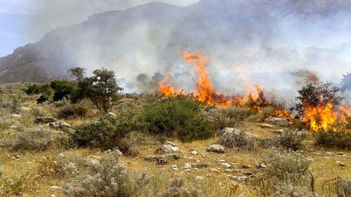 مهار حریق پارک ملی بمو در شیراز