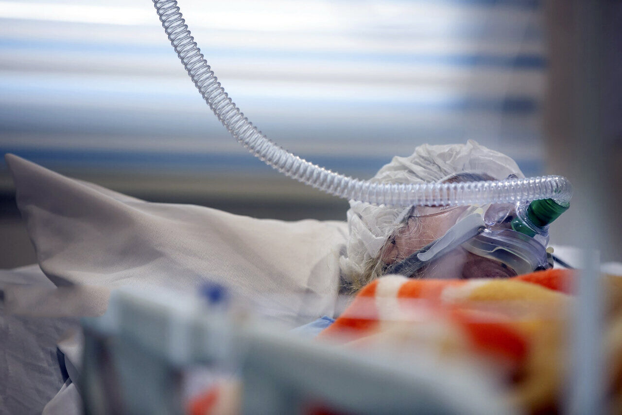 ۶۷ بیمار کرونایی در مراکز درمانی فارس با این ویروس نامرئی در جدالند